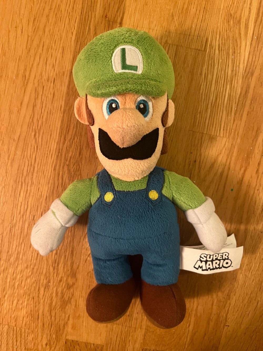Super Mario Luigi - Picture 2 of 3